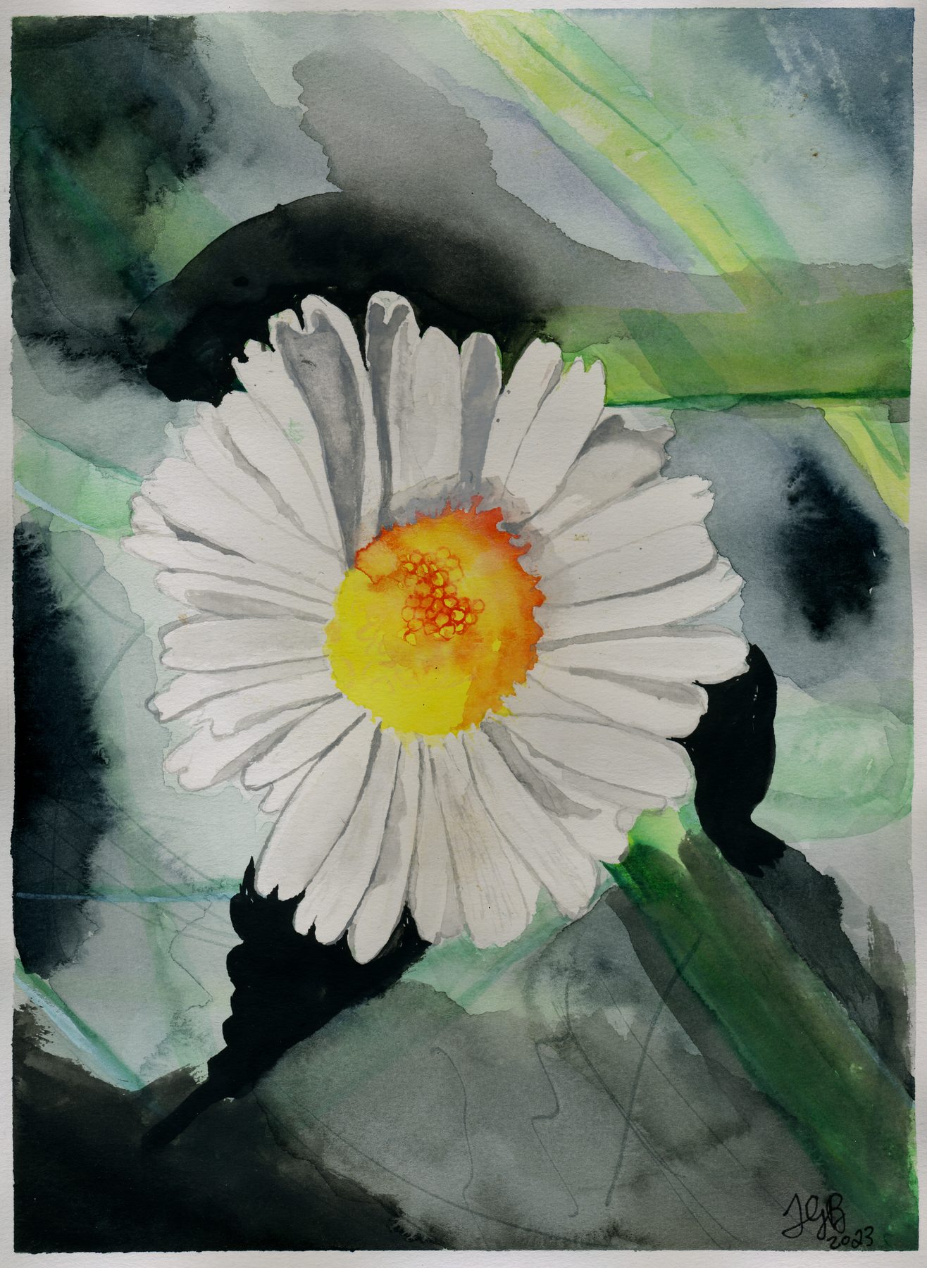 Daisy watercolour painting